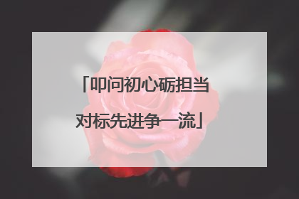 叩问初心砺担当 对标先进争一流